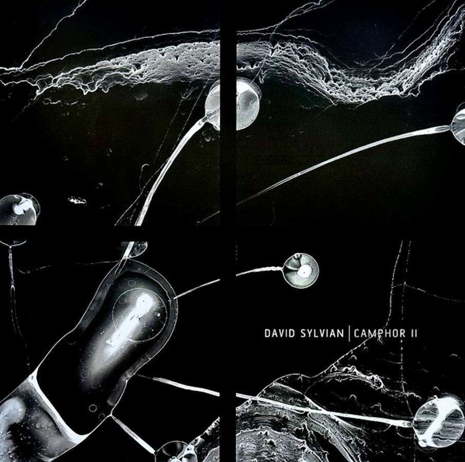 David Sylvian – Camphor II (2LP white)